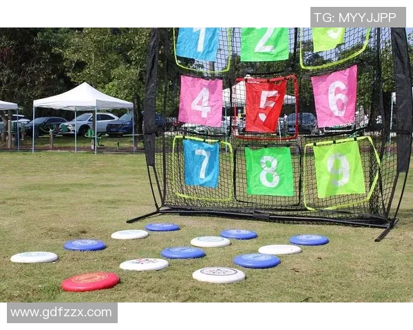 飞盘运动的魅力与挑战：深入解析北京飞盘队的灵活战术与团队协作